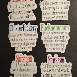 Cuss Words,Funny,Profanity Sticker,Swear, Cursing,Vulgar, Inappropriate, Adult, Humor, Dirty, Definition, Die cut, journal, Kindle, Laptop,