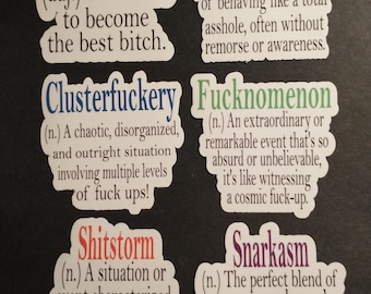 Cuss Words,Funny,Profanity Sticker,Swear, Cursing,Vulgar, Inappropriate, Adult, Humor, Dirty, Definition, Die cut, journal, Kindle, Laptop,