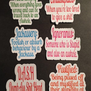 Dirty Word Sticker, Profanity,Swear,Cursing, Vulgar, Inappropriate, Adult, Humor, Cuss, sayings, Die cut, Journal, Kindle, Laptop, Stickers