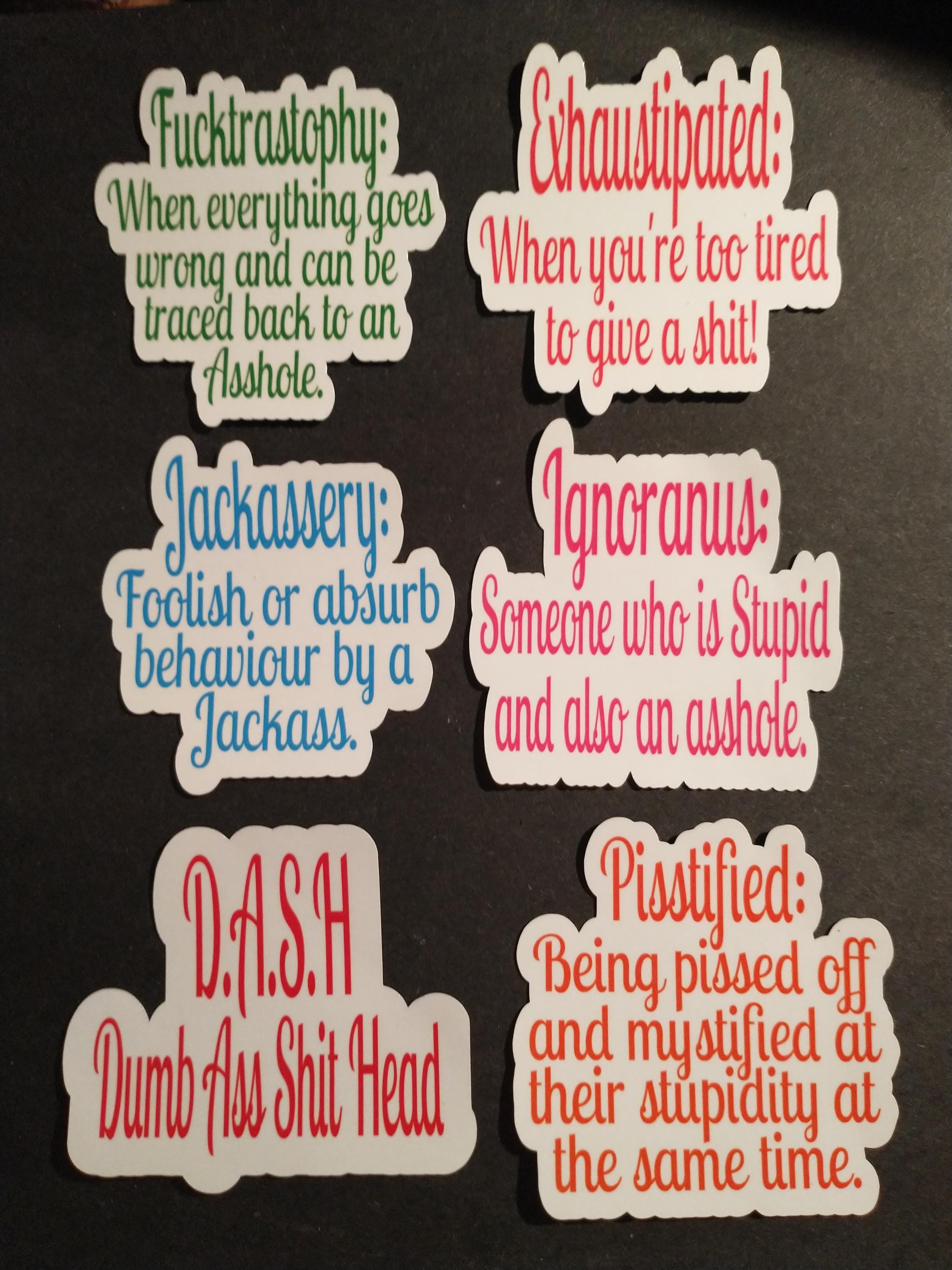 Dirty Word Sticker, Profanity,Swear,Cursing, Vulgar, Inappropriate, Adult, Humor, Cuss, sayings, Die cut, Journal, Kindle, Laptop, Stickers