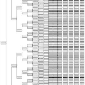 Tokyo Fifteen Generation Family History Chart