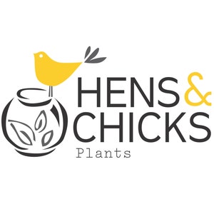 Customized Branding Logos