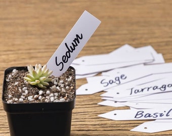 Pack of 25 Plant Markers - Plastic Plant Labels Tags 4 Inch Garden Marker with Hole for Seed Trays and Pots Greenhouse Supplies