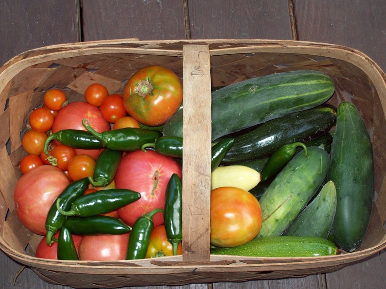 May include: A wooden basket filled with fresh produce, including tomatoes, cucumbers, zucchini, and jalapeno peppers.
