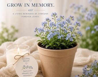 Kit de cultivo conmemorativo Nomeolvides – Regalo de condolencia – Recuerdo funerario – Recuerdo para la celebración de la vida – Regalo en memoria de un ser querido