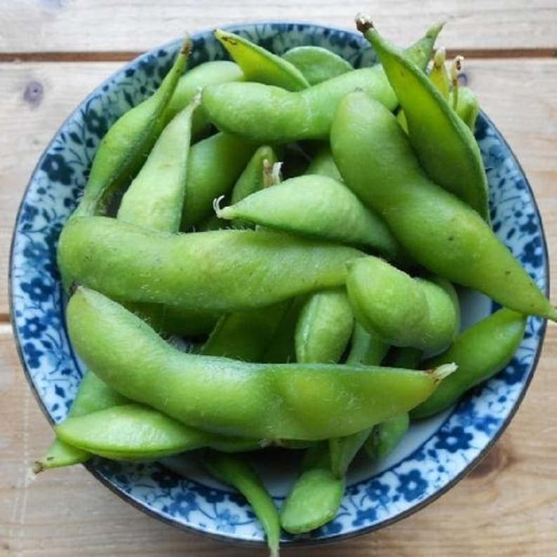 NC Heirloom Edamame Soybean Seeds Non GMO Vegetable Etsy