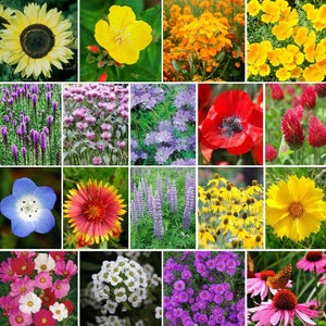 May include: A collage of 16 different flower varieties, showcasing a wide range of colors and textures. The flowers include sunflowers, poppies, lupines, daisies, and more.