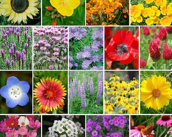The Bees Knees Flower Seeds - Pollinator Mix - Non GMO - Garden Pollinators - Save the Bees - Flower Gardening