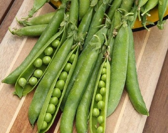 USA Heirloom Pea Seeds - Green Arrow - Sweet Pea Seeds - Non GMO - Open Pollinated - Vegetable Gardening Grow Your Own Food