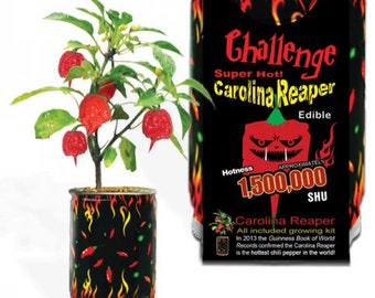 SUPER HOT - Carolina Reaper Grow Kit - Hot Pepper Chili Growing Kit - Hot Peppers  - Vegetable Gardening Grow Your Own Food