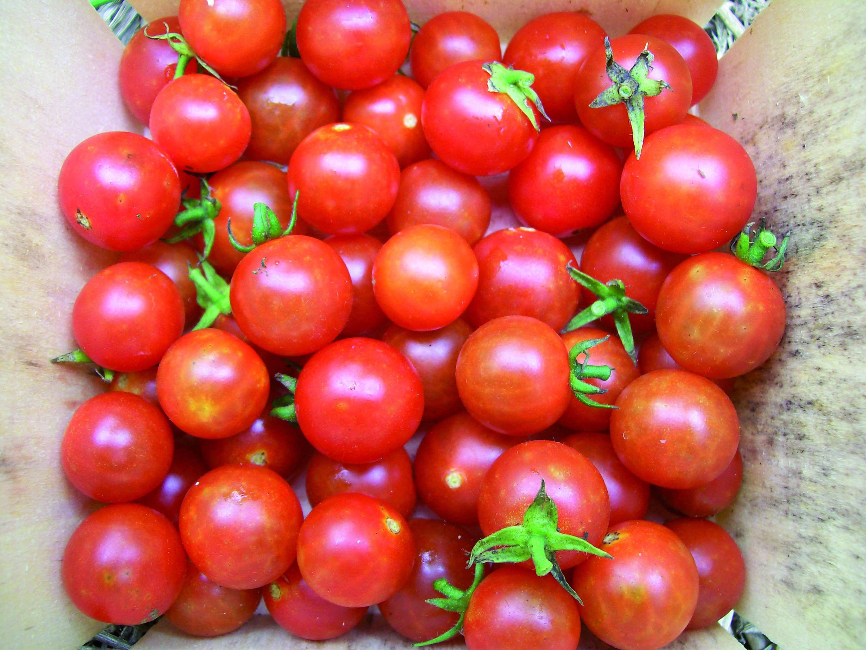 Cherry Tomato (half-size) Keychain