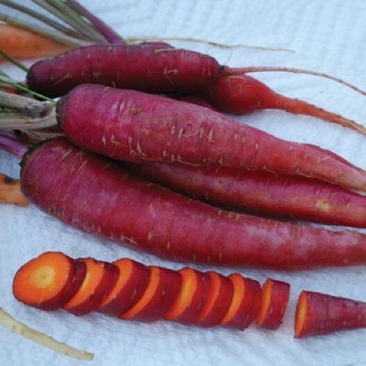 thumbnail image 2 of Atomic Red Carrot Seeds – 200+ Heirloom Seeds By Ohio Heirloom Seeds (2021 Harvest) 2 of 3