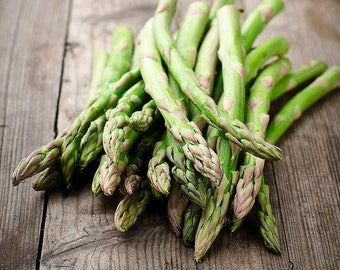 NC Heirloom Asparagus Seeds - Mary Washington - Non GMO- Vegetable Gardening Grow Your Own Food