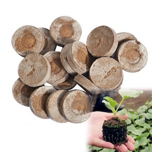 May include: A close-up of a pile of brown, round, compressed peat moss discs. The discs are used for starting seeds and are a popular choice for gardeners. A small plant with roots is shown in the background.