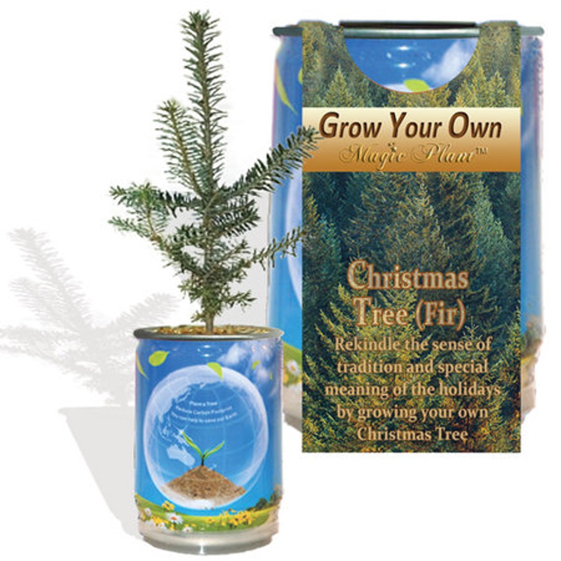 Grow Your Own Christmas Tree Fir Tree Educational Grow Kit Etsy