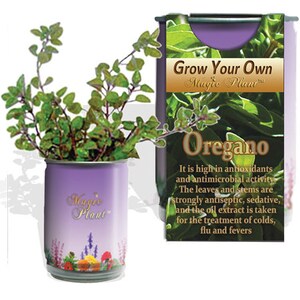 Oregano Grow Kit - Kids Educational Grow Kit - Easy Care - Herb Kitchen Growing Kit - DIY Herb Garden - Culinary Garden Gift