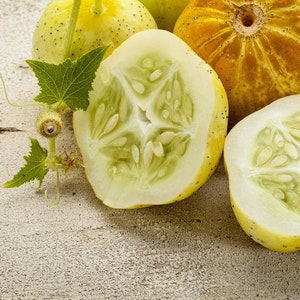 NC Heirloom Lemon Cucumber Seeds -  Non GMO - Open Pollinated - Vegetable Gardening Grow Your Own Food