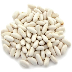NC Heirloom Cannellini Beans  - Bush Bean -  Non GMO - Vegetable Gardening Grow Your Own Food