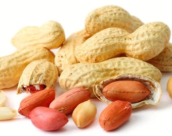 NC Heirloom Peanut Seeds - Virginia Jumbo - Non GMO - Open Pollinated - Vegetable Gardening Grow Your Own Food