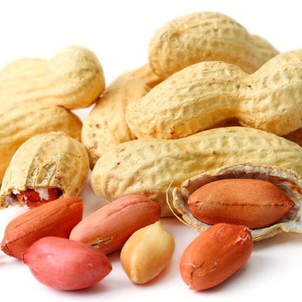 NC Heirloom Peanut Seeds - Virginia Jumbo - Non GMO - Open Pollinated - Vegetable Gardening Grow Your Own Food