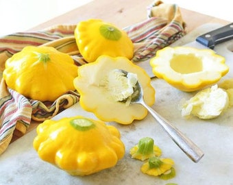 NC Heirloom Scallop Yellow Squash Pattypan Seeds - Non GMO - Vegetable Gardening Grow Your Own Food