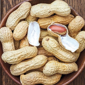 Peanut Seeds - Wynne Peanut - NC Heirloom Seeds - Non GMO - Open Pollinated - Vegetable Gardening Grow Your Own Food