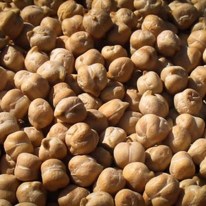 May include: A close-up image of a large pile of dried chickpeas. The chickpeas are a light brown color and have a rough texture.