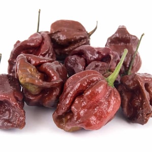NC Heirloom Hot Pepper Seeds - Trinidad Scorpion Chocolate - Non GMO - Open Pollinated - Vegetable Gardening Grow Your Own Food