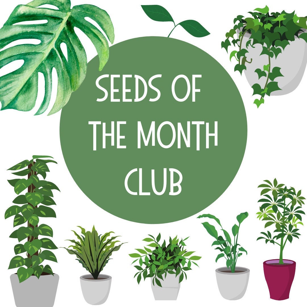 Seeds of the Month Club - Fruit Vegetable Gardening Grow Your Own Food - Monthly Subscription Gift