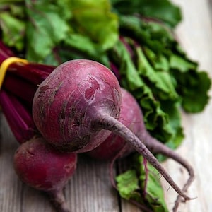 USA Heirloom Beets Seeds - Detroit Dark Red - Non GMO - Open Pollinated - Vegetable Gardening Grow Your Own Food