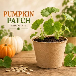 May include: A 'Pumpkin Patch Grow Kit' is displayed, featuring a small, round, brown pot with young green plants. Two pumpkins, one orange and one white, are in the background. Pumpkin seeds are scattered on a wooden surface. The text 'Pumpkin Patch Grow Kit' is at the top.