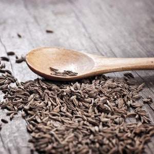 USA Seller - Heirloom Herb Seeds - Cumin Seeds - Non GMO - Open Pollinated - Vegetable Gardening Grow Your Own Food