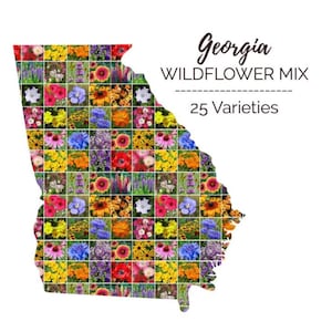 Georgia Wildflower Seed Mix Seeds - Easy Care - Great for Kids - Flower Garden