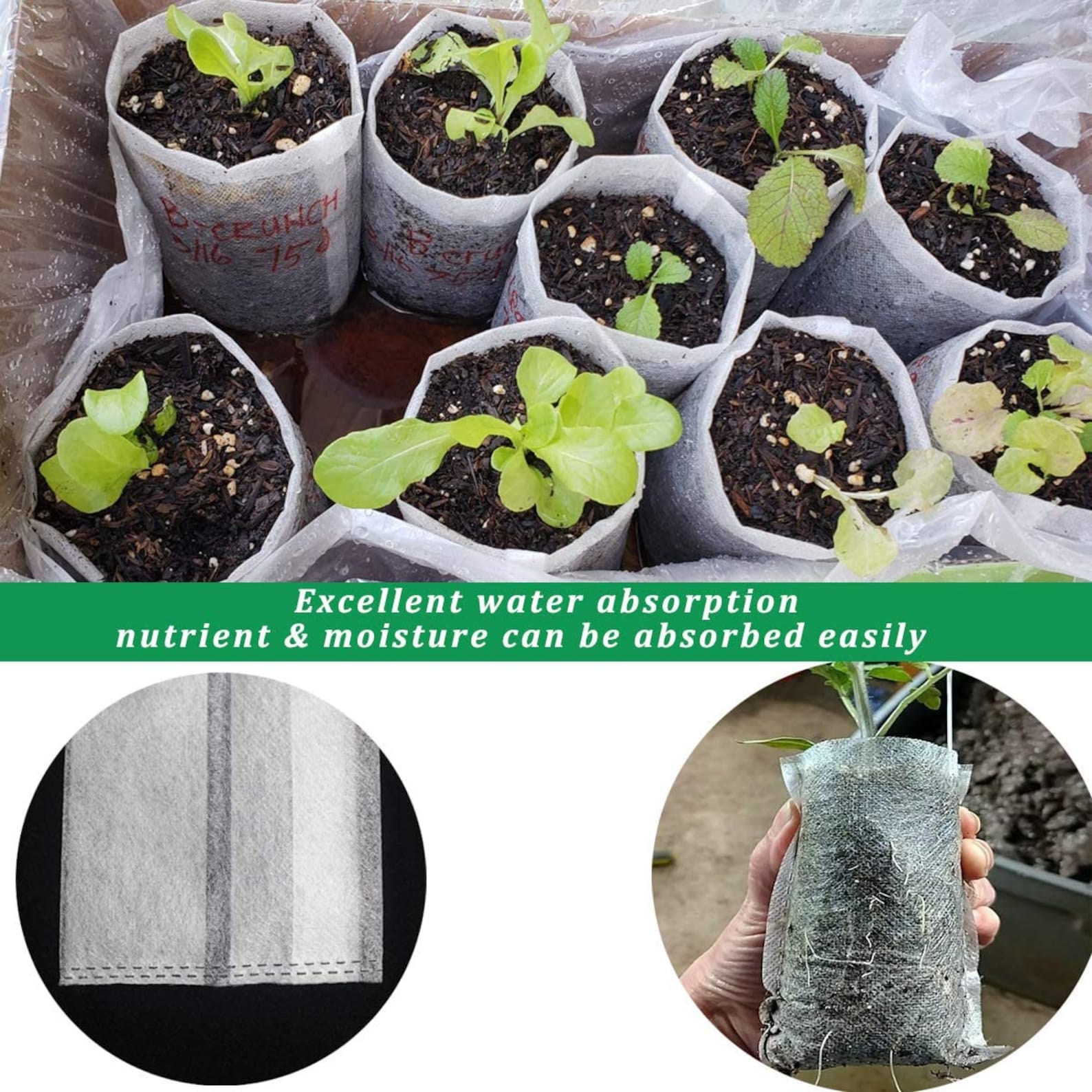 Biodegradable Seedling Grow Bags Pack of 20 Two Sizes Etsy