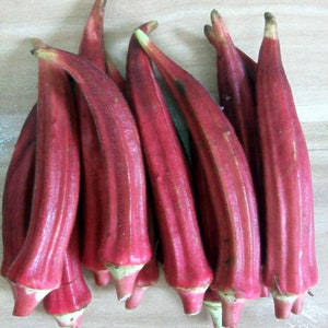 Okinawa Pink Okra - Rare Seeds - US Heirloom Seeds - Non GMO - Open Pollinated - Vegetable Gardening Grow Your Own Food