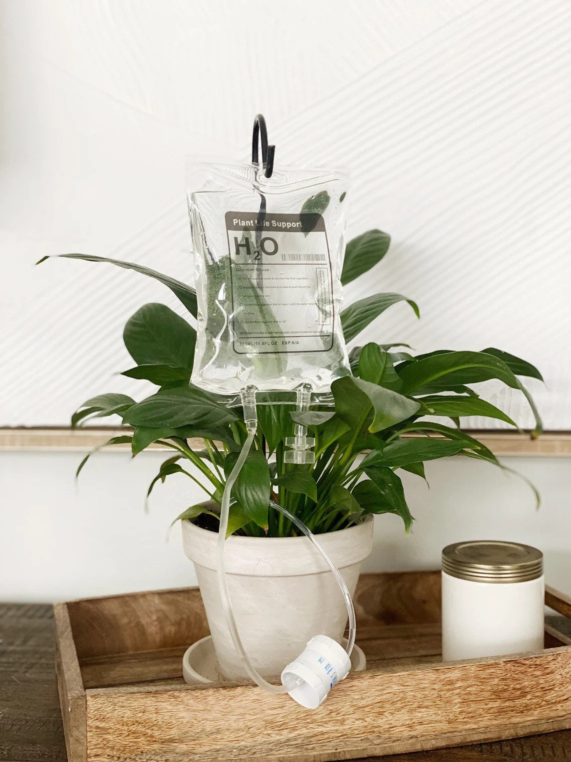 Plant IV Drip Plant Life Support Drip Irrigation Plant Etsy