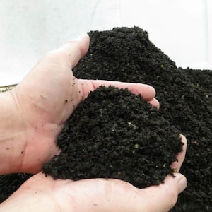 May include: A handful of dark, rich compost held in open hands. The compost is a deep brown color with visible organic matter. The background is a light, neutral color, highlighting the texture and color of the compost.