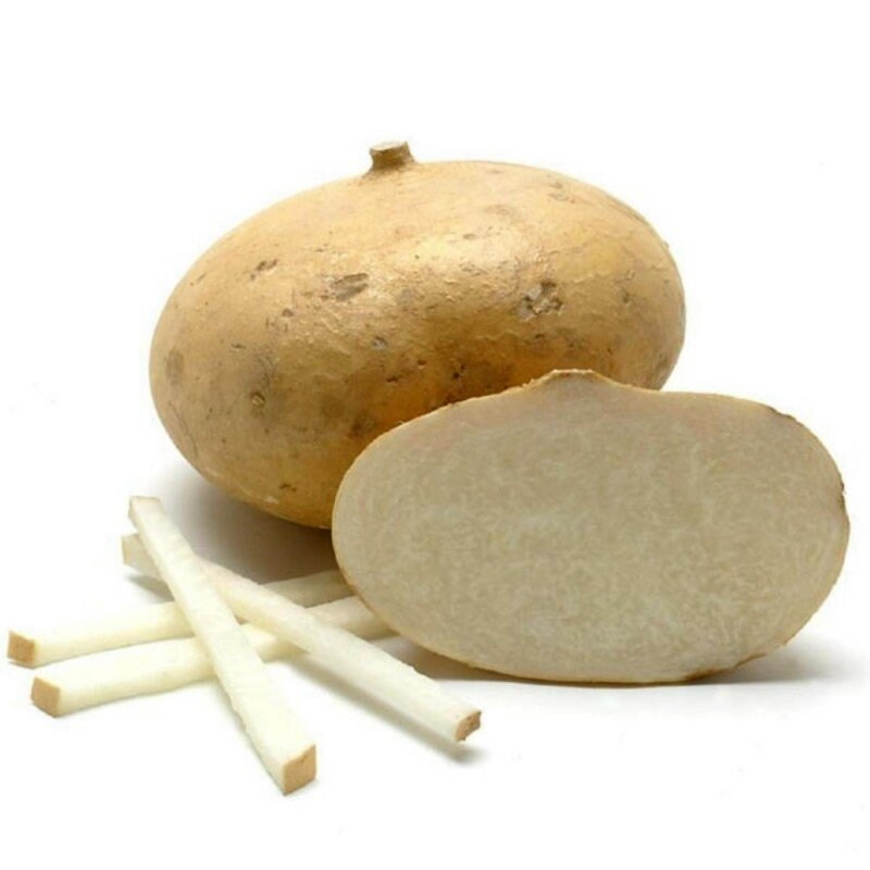 Heirloom Organic Jicama Yam Bean Seeds Mexican Turnip Etsy
