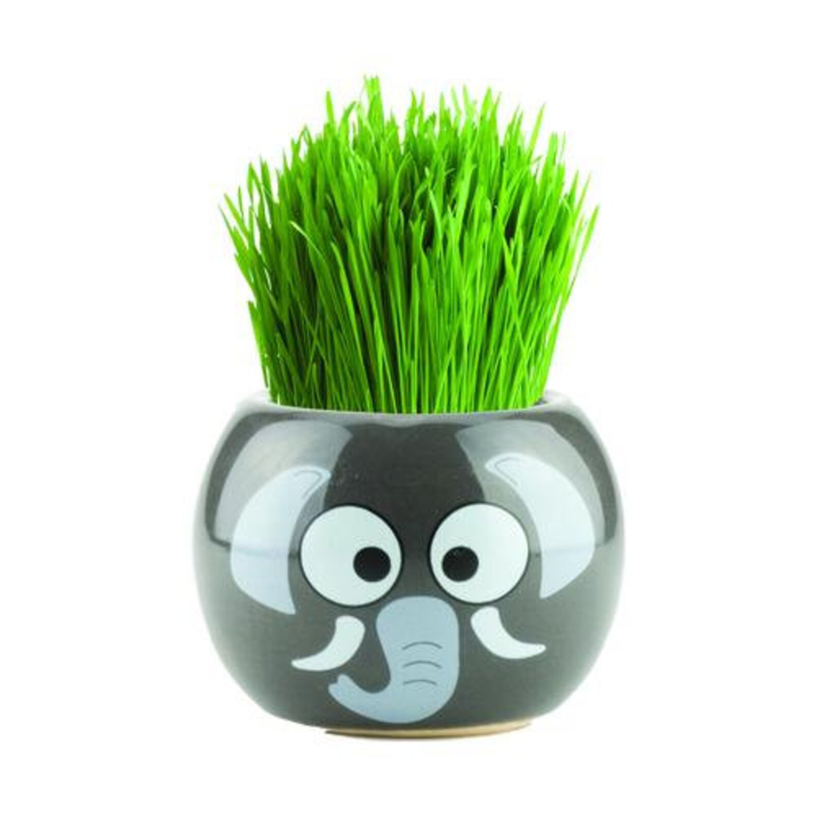 Animal Grass Grow Kits Kids Educational Grow Kit Grows in Etsy