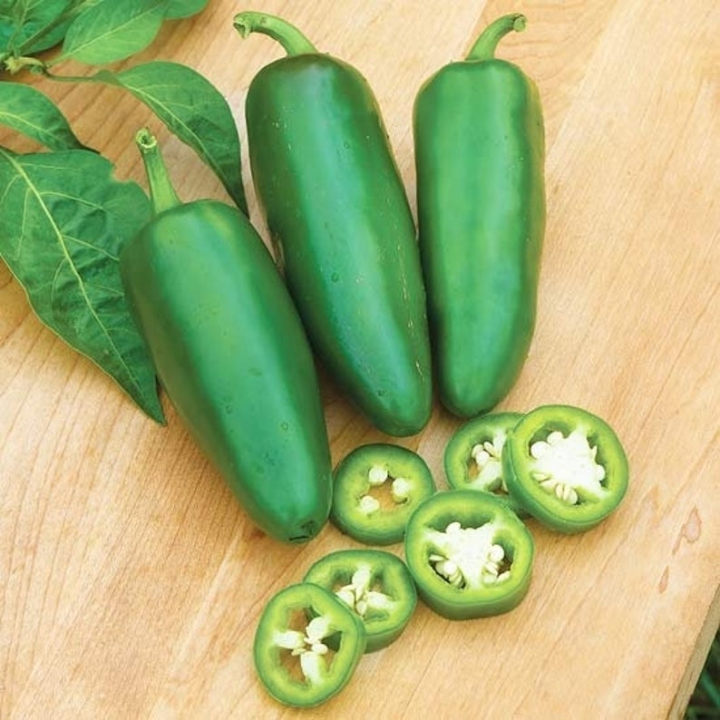 Pepper Early Hot Jalapeno Non GMO Heirloom Vegetable Seeds Sow No GMO® USA 