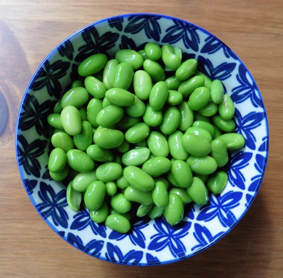 BeSweet Edamame Soy Bean Seeds – USA Non-GMO, Easy To Grow Veggie Seeds For Home Gardeners 4 thumbnail image