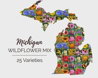 Heirloom Michigan Wildflower Seed Mix Seeds - Easy Care - Great for Kids - Perennial and Annual Mix