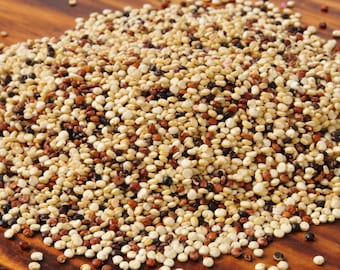 Heirloom Quinoa Seeds - Rainbow Blend - Non GMO - Open Pollinated - Vegetable Gardening Grow Your Own Food