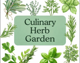 Culinary Herb Garden Collection – 5 Variety Plant Pack for Cooking & Kitchen Gardens – Rotating Selection