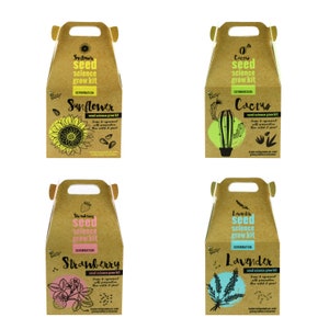 Seed Science Grow Kit with Biodegradable Pot - Kids Educational Grow Kit - Easy Care - Kids Gardening - Cactus Strawberry Sunflower