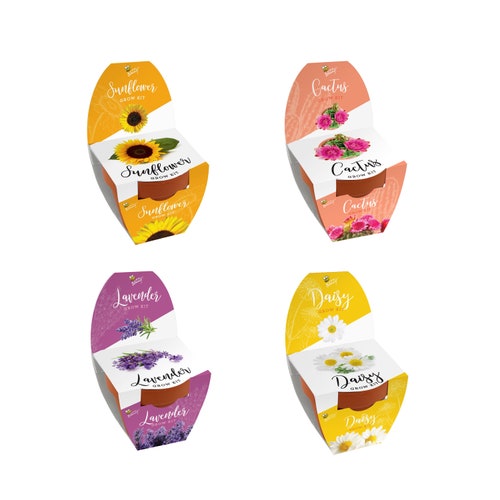 Mini Terracotta Flower Grow Kit Cactus Grow Kit Assorted Etsy