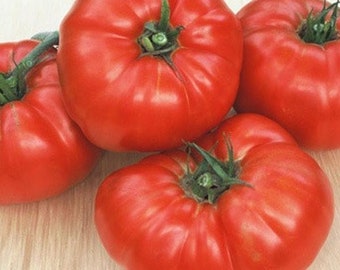 May include: Four large, red, heirloom tomatoes with a slightly wrinkled texture. The tomatoes are arranged on a wooden surface.