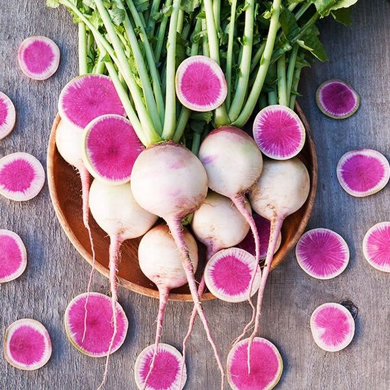 thumbnail image 2 of Radish Seeds For Planting - 1,200 Non-GMO Cherry Belle Heirloom Seeds 2 of 14