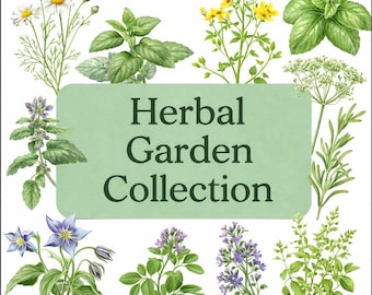 Herbal Garden Seed Collection – 5 Variety Plant Pack – Tea & Traditional Heirloom Herbs from NC – Rotating Selection