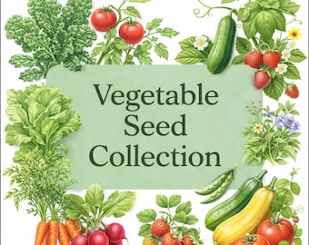 May include: A colorful illustration of a vegetable seed collection. The image features various vegetables, including tomatoes, cucumbers, strawberries, and carrots, surrounding a green sign with the text "Vegetable Seed Collection."
